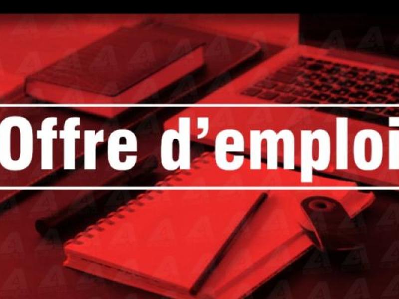 Recrutement d’un(e) Expert(e) senior chargé(e) de reporting au sein du Fonds national REDD (FONAREDD)