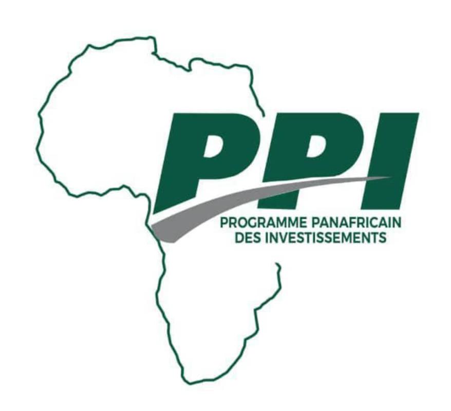 RDC – Projet de construction de 10 écoles par province : Le PPI Afrique appelle les entreprises, sociétés de construction, ASBL et ONGD à s’affilier à son programme